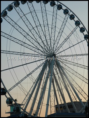 DSCN0401 DSCN0401