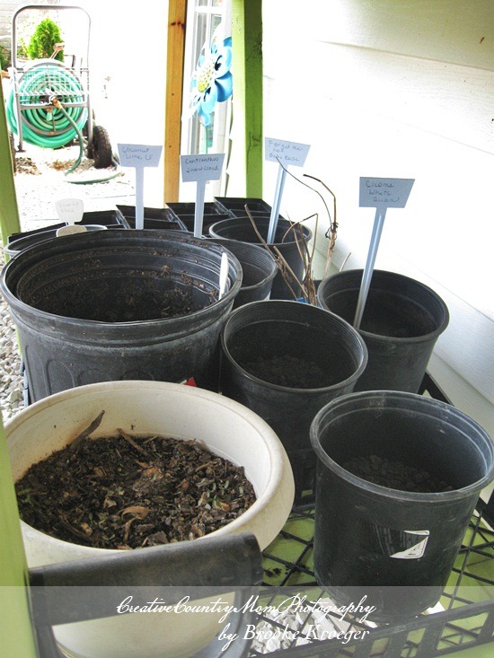 [IMG_3224%255B2%255D.jpg]