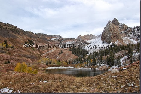 DSC_0928 DSC_0928