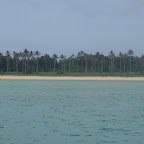 DSC05330.JPG