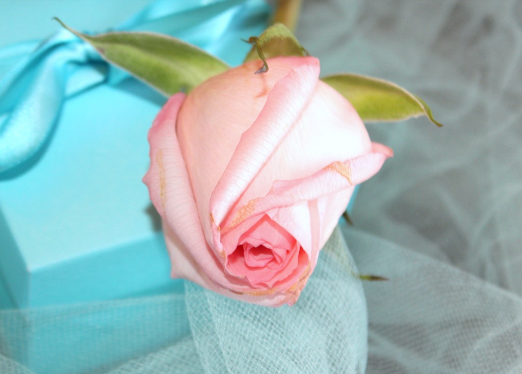 [February%25205%252C%25202012%2520Tiffany%2520Tablescape%2520057%255B4%255D.jpg]