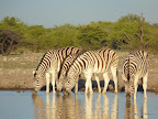 Etosha Nationalpark