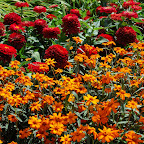 Early Europe photos 2008 027.jpg