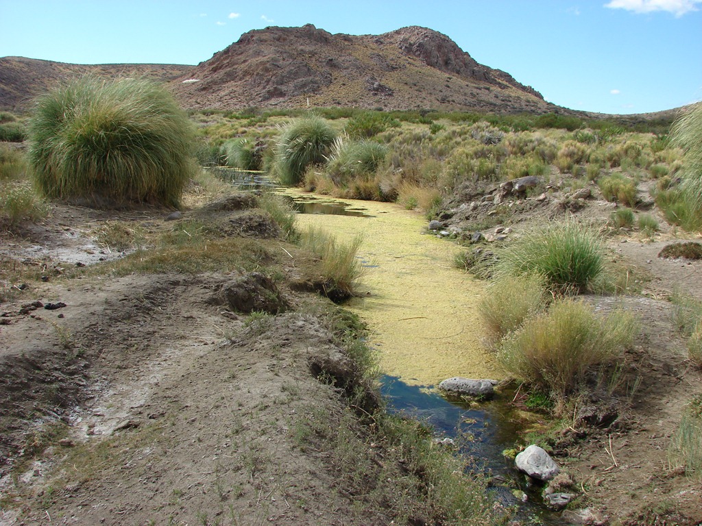 [desierto_patagonico3%255B5%255D.jpg]
