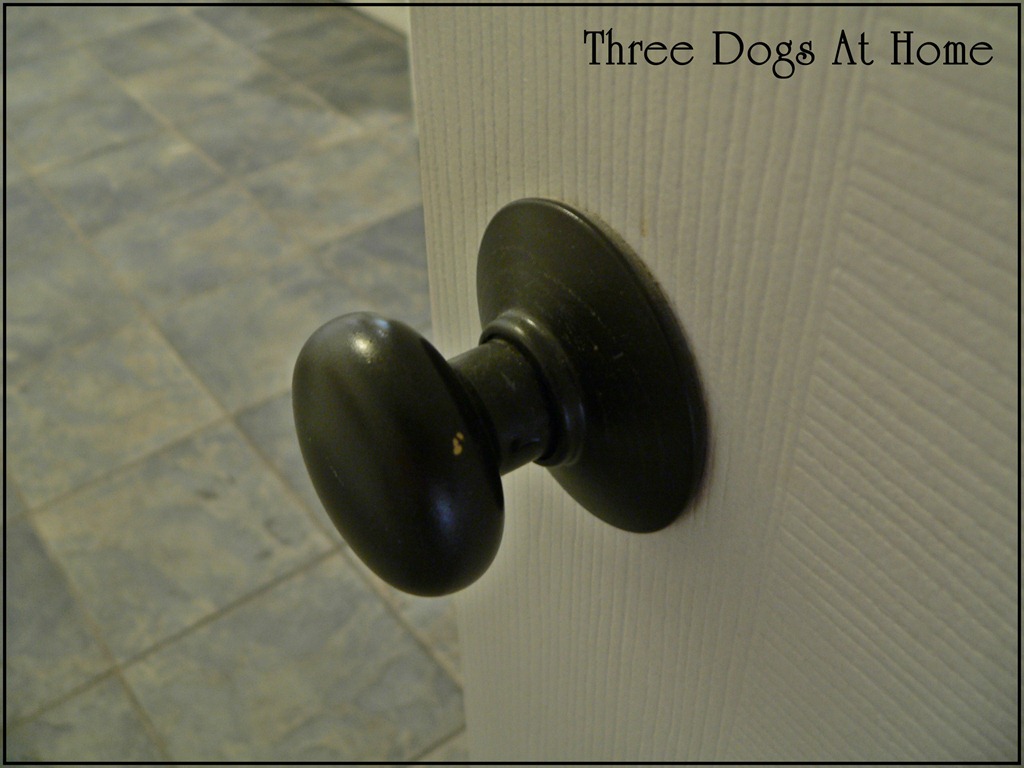 [door-knobs-0213.jpg]