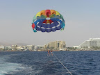 p1287406706(7).jpg