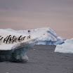 DSC_2739.JPG