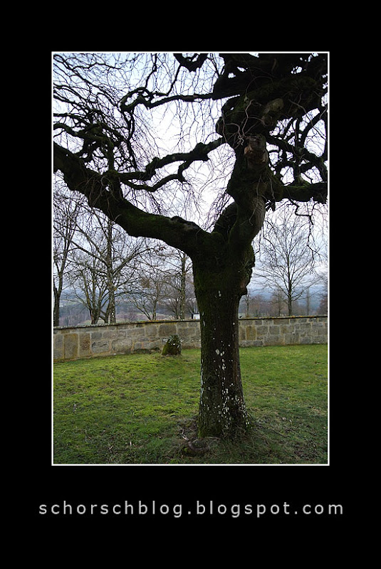 DSC_0326.jpg
