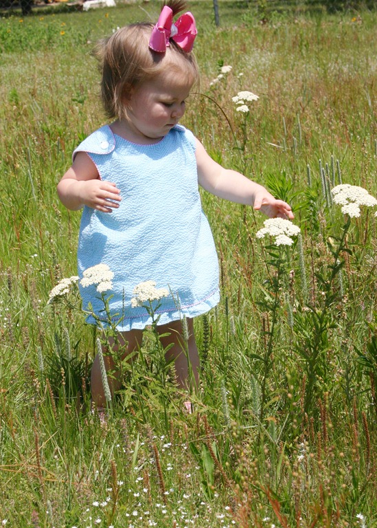 [IMG_00494.jpg]