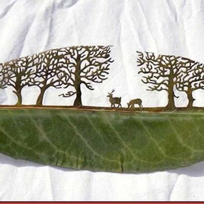 El arte de esculpir hojas