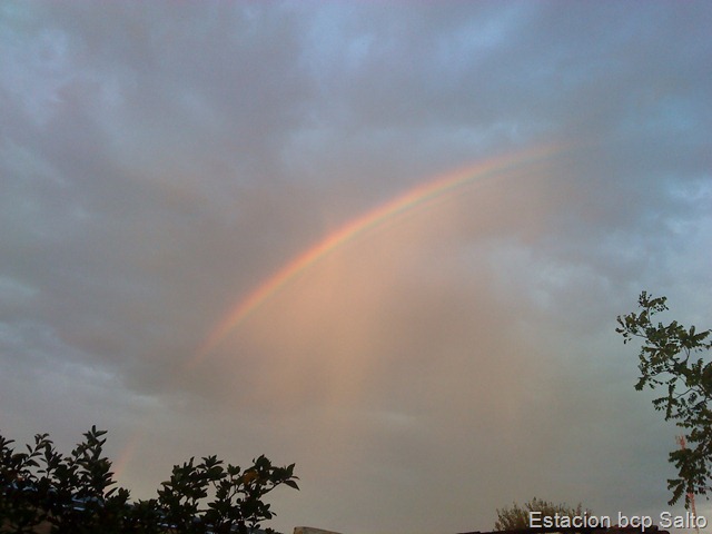 [DSC020037.jpg]