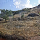 IMG_4564.JPG