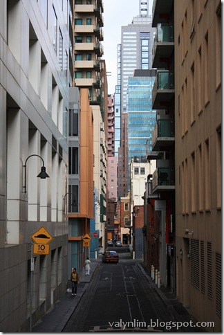 IMG_8255 IMG_8255
