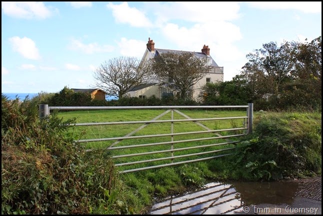 A coastal walk in Guernsey (8)