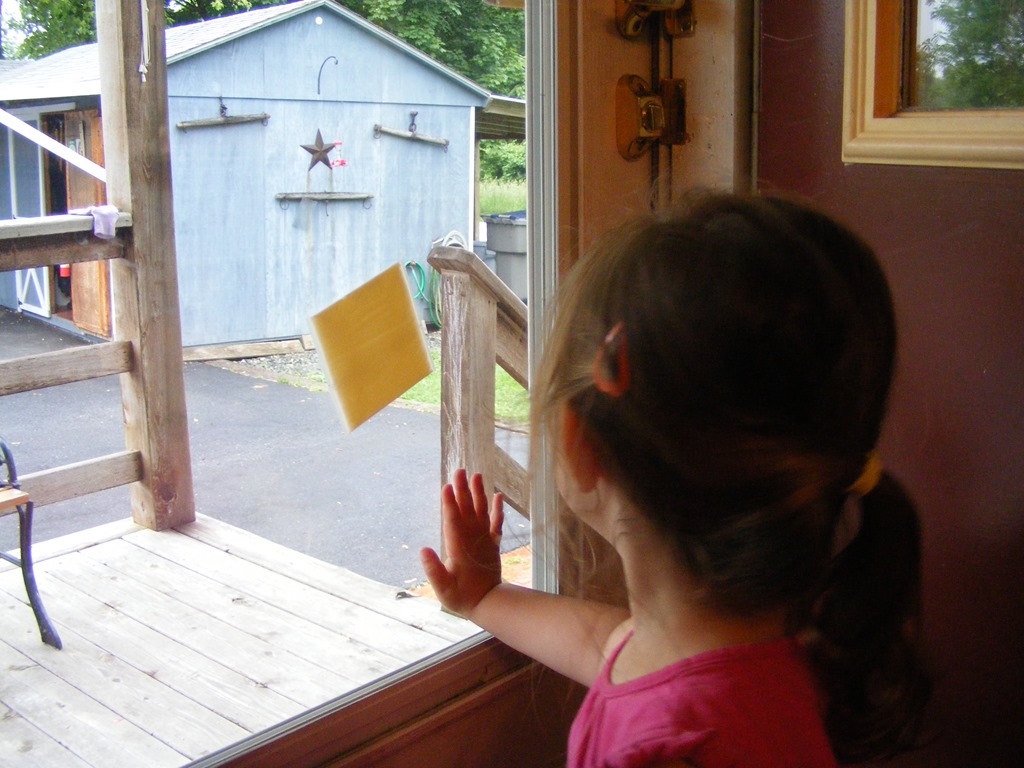 [DSCF5108%255B3%255D.jpg]