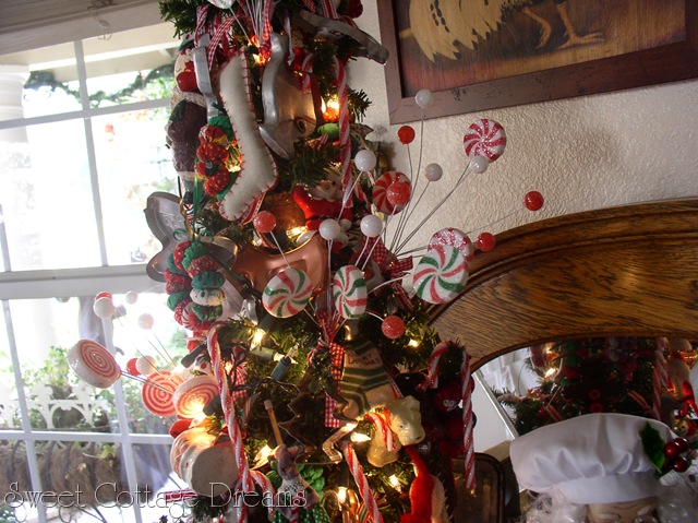 [P1010129%255B8%255D.jpg]