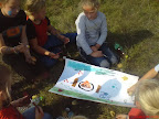 DSC00168.JPG