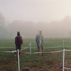 akela_and_Jesse_scioto_fog.JPG