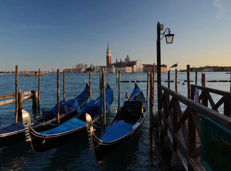 DSC_4822_w.jpg DSC 4822 w