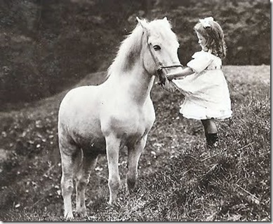 1910whitehorse 1910whitehorse