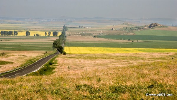 142.jpg