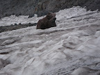 Speaking of bear, again, Bear Rock.