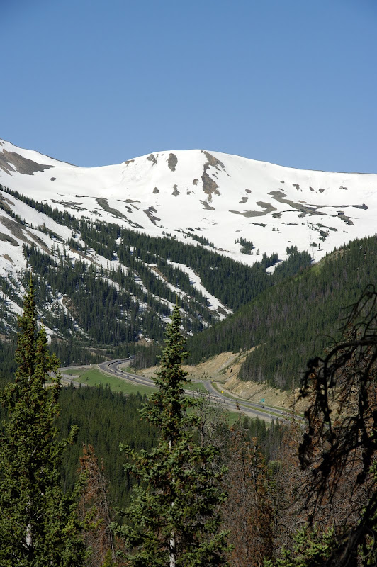 _IGP5470.JPG Photo