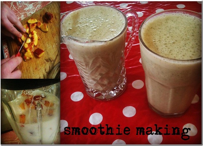smoothie making feb 2012 smoothie making feb 2012