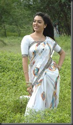 radhika in saree1