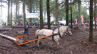 172.JPG