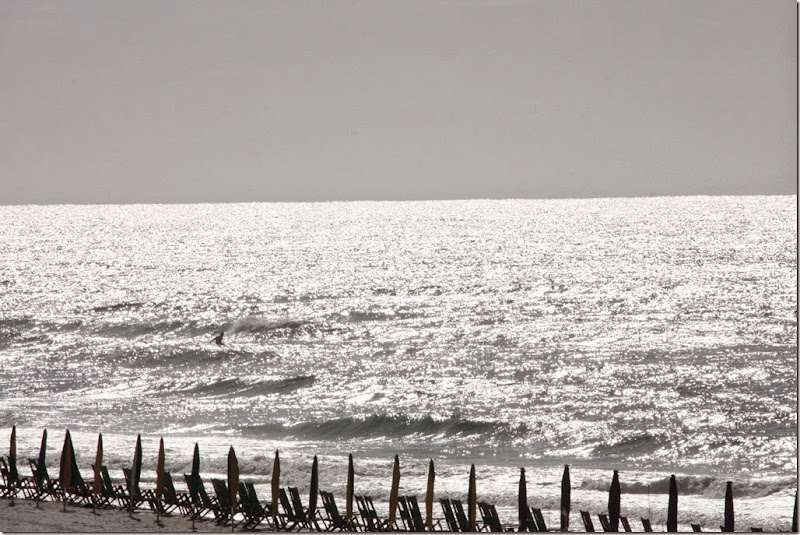 IMG_4706 IMG_4706
