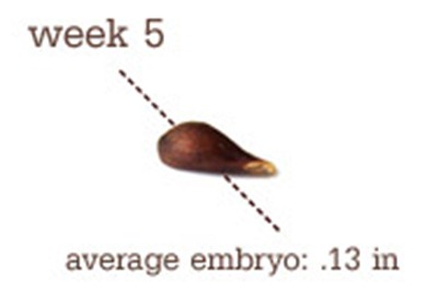 week5