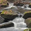 DSC_1482.jpg
