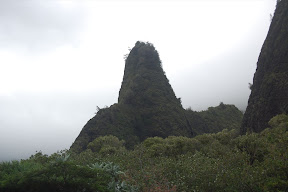 DSC_0475.JPG