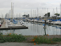 Foster City Trail 085.JPG Photo