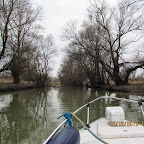 IMG_1505.JPG