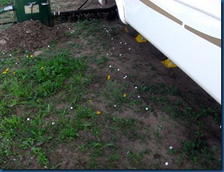 MothBalls (3)