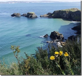 Caminho até Carrick-A-Rede, perto de Belfast Autora Luiza Ferrari