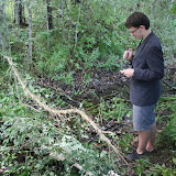 IMG_7324.jpg