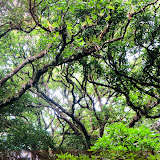 Parque da Pedra Pintada -  El Valle - Panamá