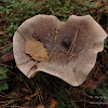 dsc05218.jpg