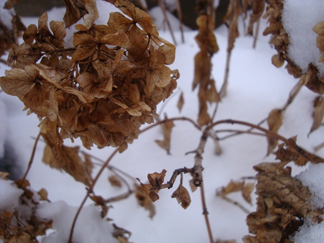 [DSC07610%255B5%255D.jpg]