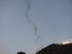 IMG_1009.JPG