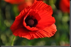 DSC_0056 DSC_0056