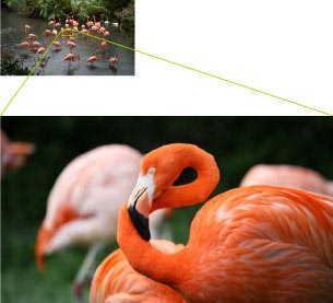 [28x-optical-zoom%255B5%255D.jpg]