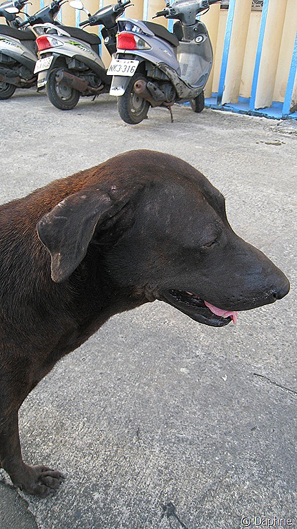 [288%255B5%255D.jpg]