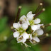 20100306_26