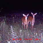 my farm nichols 100.JPG