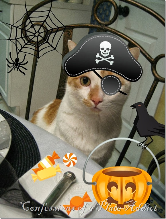 Baby Kitty Halloween Baby Kitty Halloween