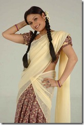 Sonia Agarwal in Half Saree